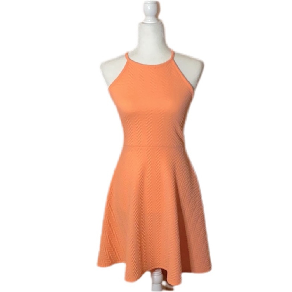 Mossimo Garden Party Dress